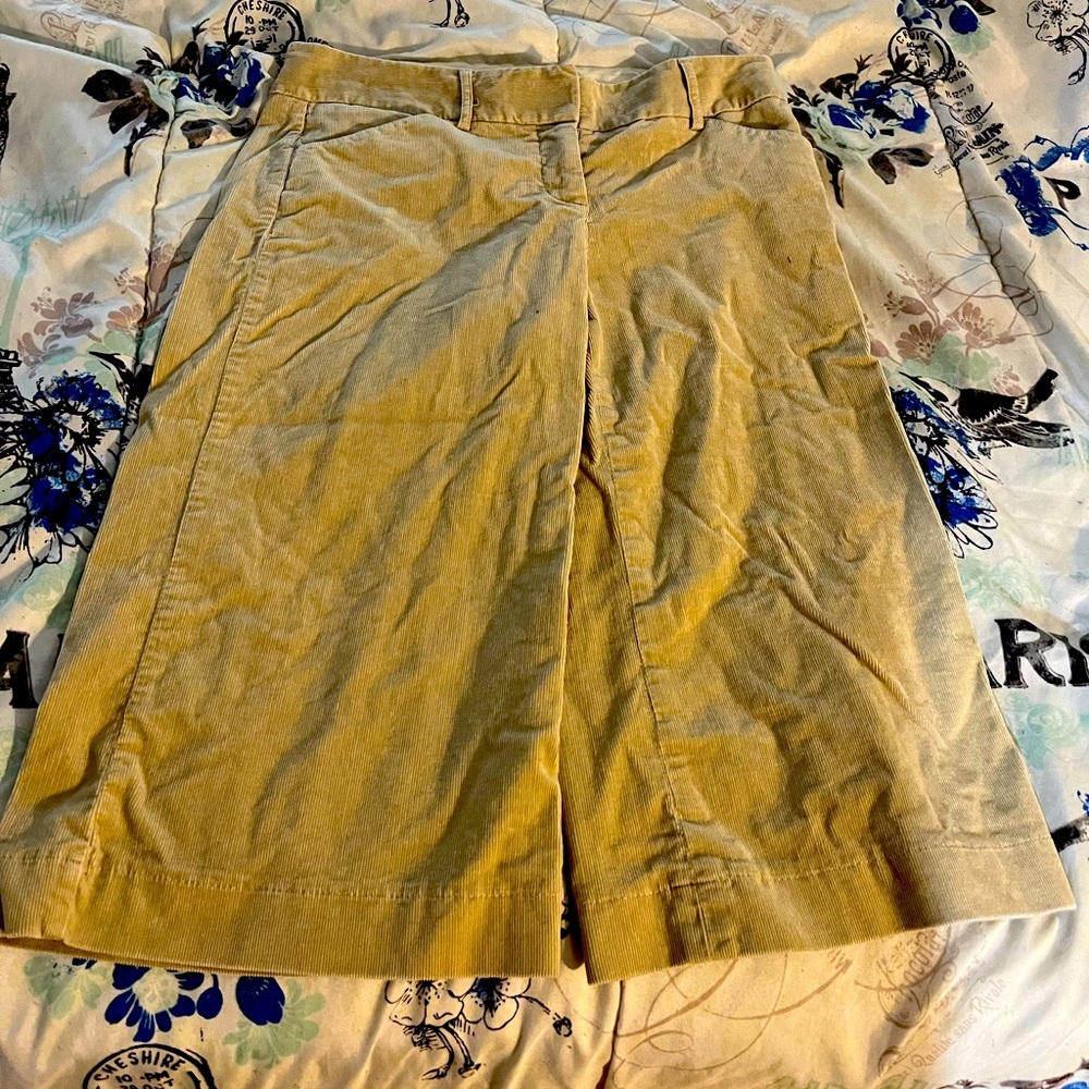 Cropped express editor pants